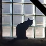 Jeff Rausch - @jarau_sch - Instagram