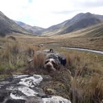 Jeff Rawles - @jeff.rawles.165 - Instagram