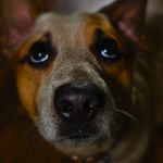 Jeff Rawlings - @calikid1975 - Instagram