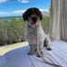 Jeffrey Rawlins  - Facebook