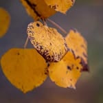 Jeff Rawlinson - @jeffrawlinson2021 - Instagram