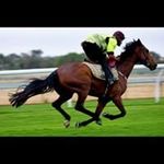 Jeff Rawson - @rawson6296 - Instagram