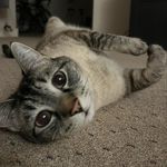Jeff Rawson - @shawnkey79 - Instagram