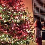 Jeff-Pam Raymer - @jeffpam.raymer - Instagram