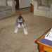 Jeffrey Raymer - Facebook