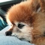 @jeffreally.jpg - Instagram