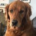 Jeffrey Ream - Facebook