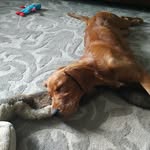 Jeff Redel - @redel.jeff - Instagram