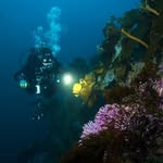 Jeff "J." Reeb - @dark_thirty_divers - Instagram