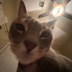 @jeffreebauerr - Instagram