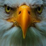 Jeff-Stacy Reetz - @jeffstacyreetz - Instagram