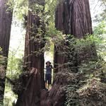 Jeff Reiter - @reiter3696 - Instagram