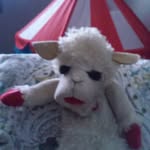 jeffrey s rickert - @jeffreysrickert - Instagram