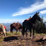 Jeff Ritchie - @jeffritchie65 - Instagram