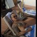 Jeff Rivera - Facebook