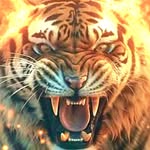 Jeff Rockker & The Tigers - @jeffrockker - Instagram
