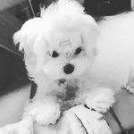 Jeff Rollins - @bihstephanie39 - Instagram