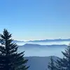 My name is Jeff (erson) - @jefffrom - TikTok