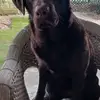 Jeff Roscoe - @jeff.roscoe7 - TikTok