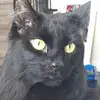 Jeff Roscoe - @jeff.roscoe - TikTok
