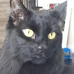 Jeff Roscoe - @jeff_roscoe_egv - Instagram