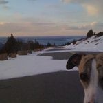 Jeff Roseberry - @jeff.roseberry.351 - Instagram