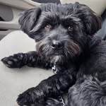Jeff Roseberry - @jarbengals1217 - Instagram