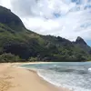 Jeff Rott - @jeff.rott - TikTok
