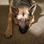 Jeff Rowlett - @jrow72 - Instagram