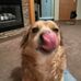 Jeff Rowley - Facebook