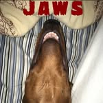 Jeff Ruff - @nigel_stubbington_ruff - Instagram