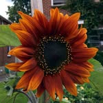 Jeff Ruhl - @jeffruhl - Instagram