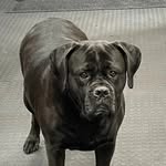 Jeffrey Ruhland - @jeffreyruhland - Instagram