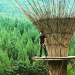 Jeffry alsya - @jeffryalsya - Instagram