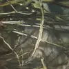 Jeff sallee - @jeffrey.sall - TikTok