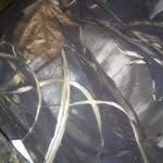 Jeffrey Sallee - @jeffrey.sallee.545 - Instagram