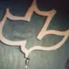 Jeff Sandell - @jeff.sandell - TikTok