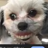 jeffsandell8 - @jeffsandell8 - TikTok