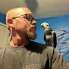 Allen&Amy Aviary - @jeffallenschade - TikTok