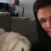 jeffscheib - @jeffscheib - TikTok