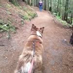Jeff seely - @jeffseely14 - Instagram