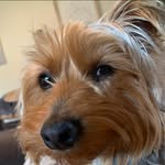Jeff Sell - @jeffreysell - Instagram