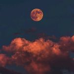 Jefferson_serber2 - @jefferson_serber2 - Instagram