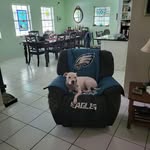 Jeff Severino - @jeffseverino1 - Instagram