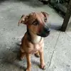 Jeff Severino - @jeff.severino - TikTok