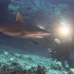 Jeff Sharp - @sharp808 - Instagram