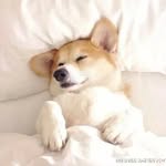 Jeff Sheng - @shengjeff - Instagram