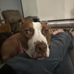 Jeff Shepardson - @ninhalo5 - Instagram
