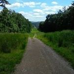 Jeff Shipe - @shipejeff - Instagram
