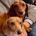 Jeff Shipley - @sir_pickles1 - Instagram